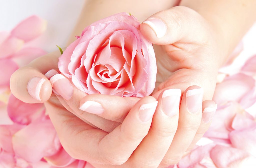 Hände mit French lackierten Fingernägel halten eine rosa Rose. Rosenblätter liegen unter den Händen