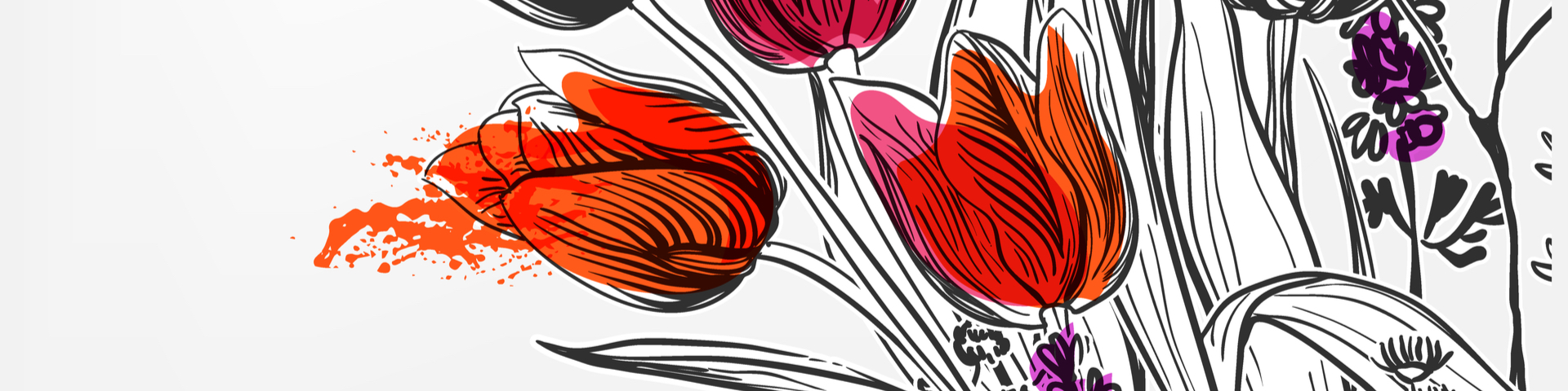 6167E6FD-B21B-4F57-AFEA-654397D0501C Tulpen gezeichnet zum Valentinstag